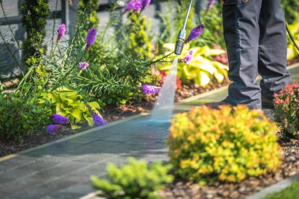 Trusted Amityville, NY Pressure Washing Experts